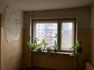 Фотография Учебно-спортивный центр ДОСААФ России 5