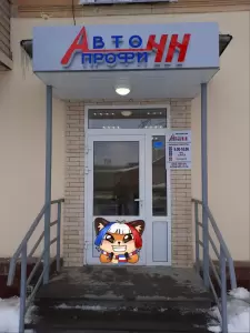 Фотография Авто-Профи-НН 1