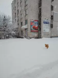 Фотография Приокский СТК ДОСААФ России 0