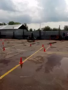 Фотография Вектор Плюс 3